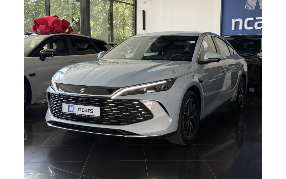 Qin L DM-i 2025