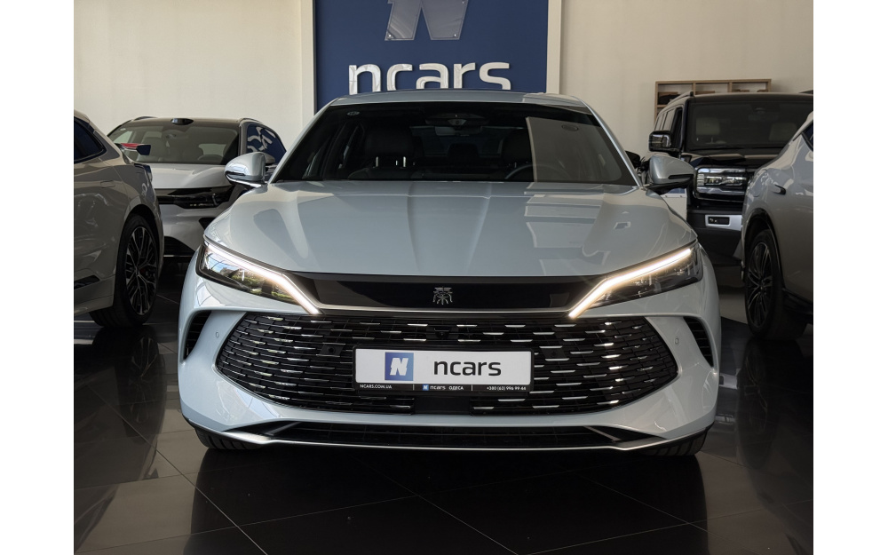 Qin L DM-i 2025 - 2