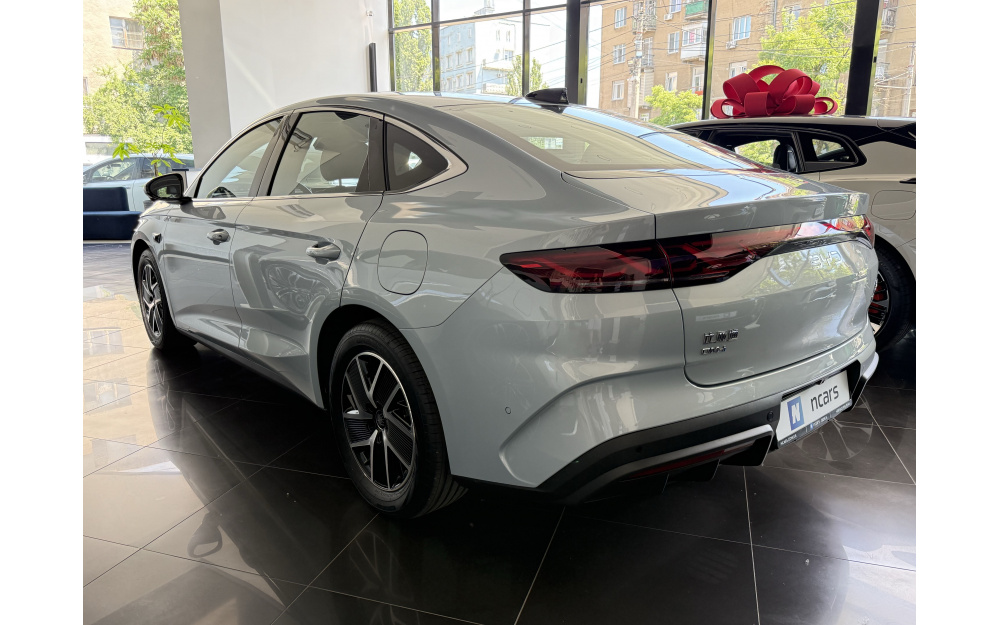 Qin L DM-i 2025 - 4