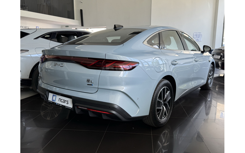 Qin L DM-i 2025 - 6