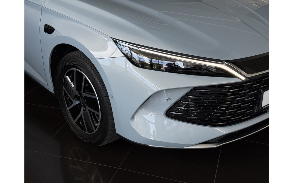Qin L DM-i 2025 - 8