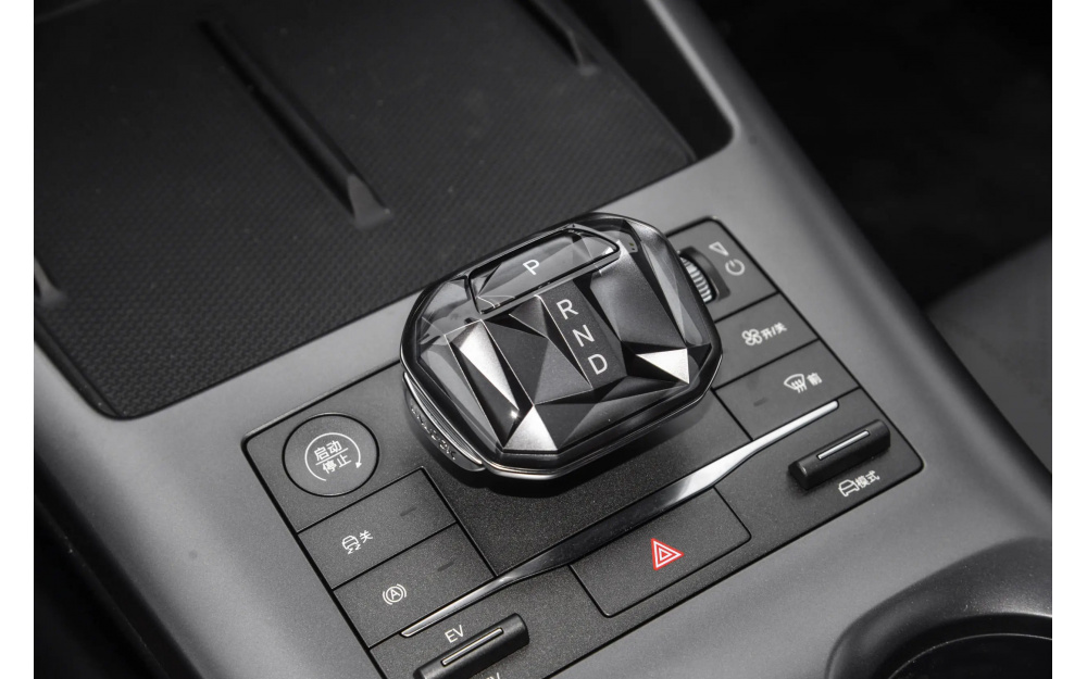Qin Plus DM-i - 18