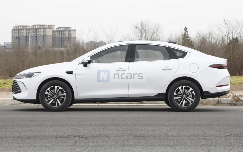 BYD Qin Plus DM-i фото задний диван