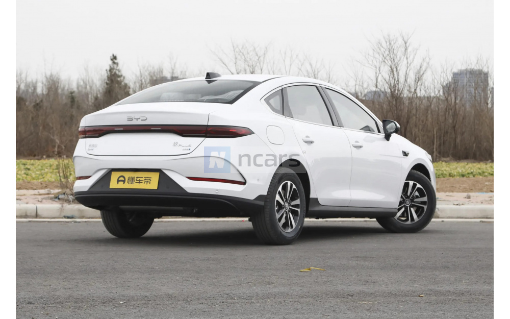 Qin Plus DM-i - 7