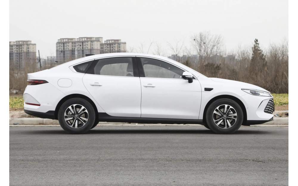 Qin Plus DM-i - 8