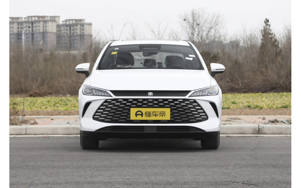 Qin Plus DM-i - 2