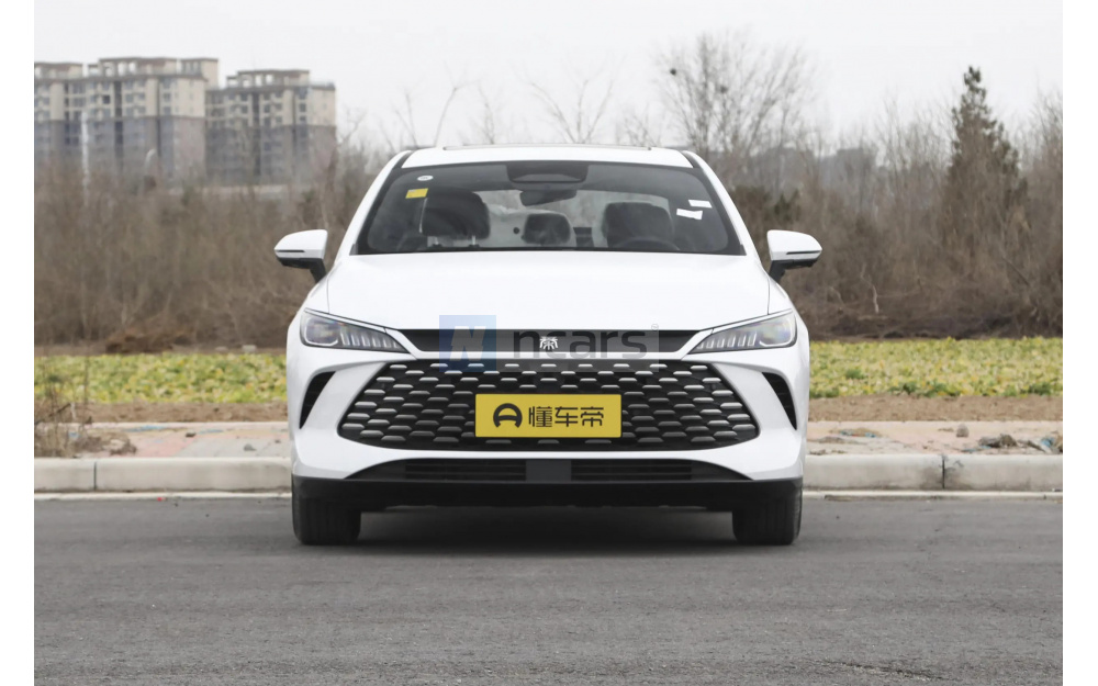 Qin Plus DM-i - 2