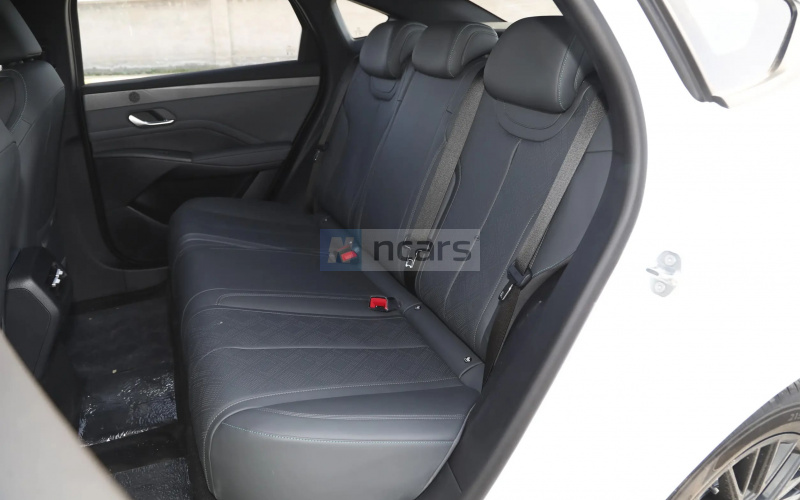 BYD Qin Plus фото задній диван