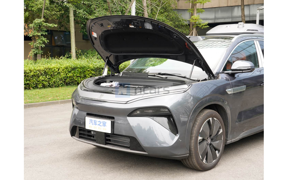 Tang L DM - 15
