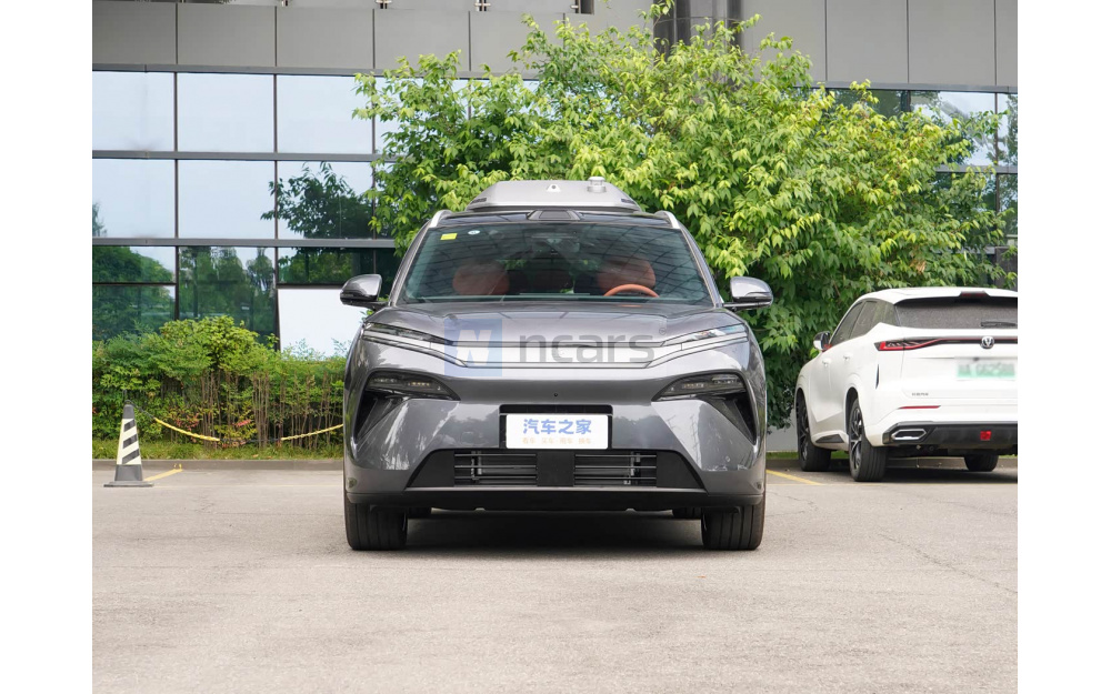 Tang L DM - 2
