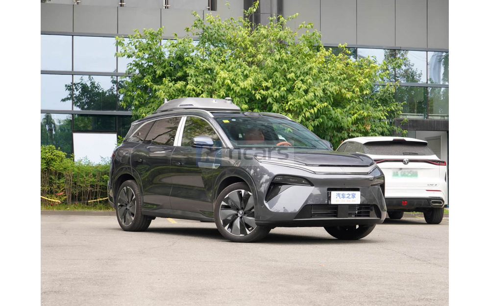 Tang L DM - 3