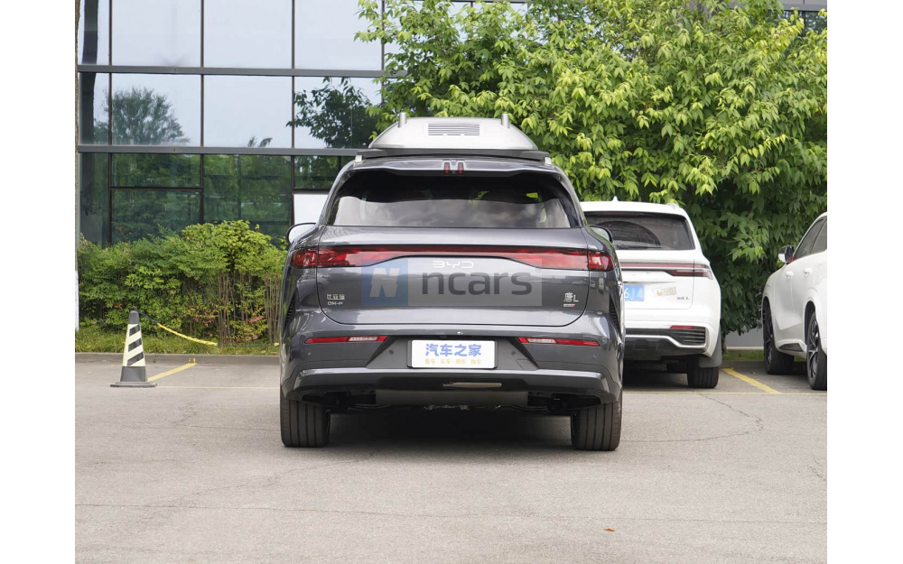 Tang L DM - 6
