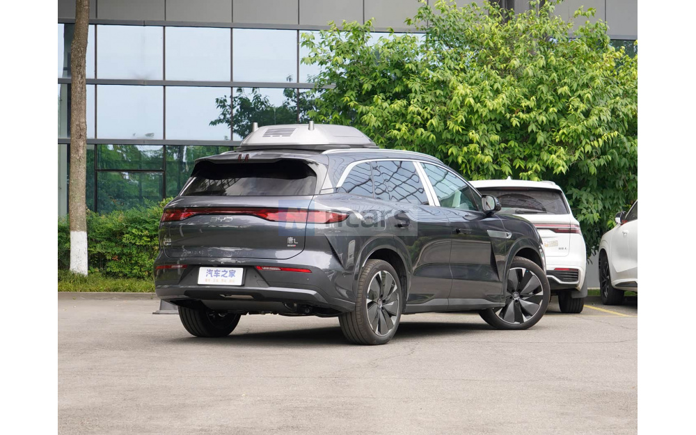 Tang L DM - 7