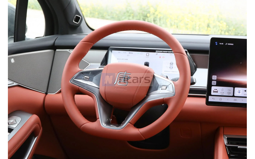 Tang L DM - 19