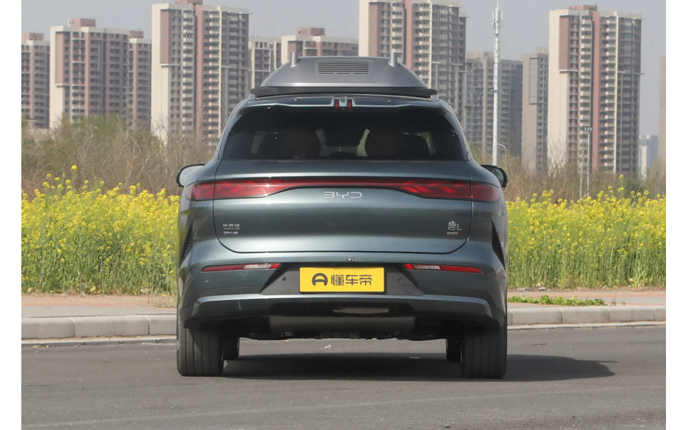 Tang L DM - 6