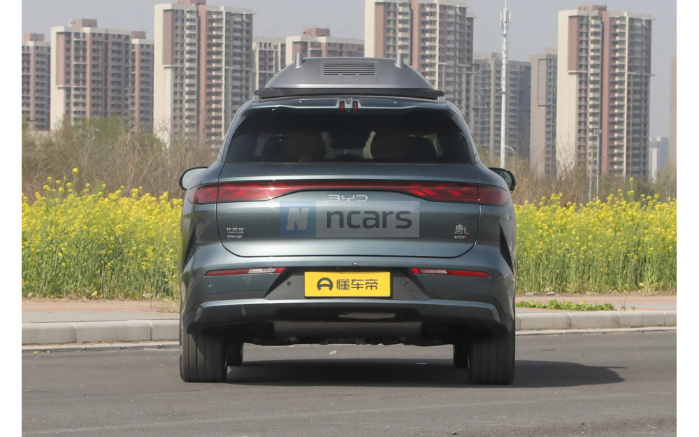 Tang L DM - 6
