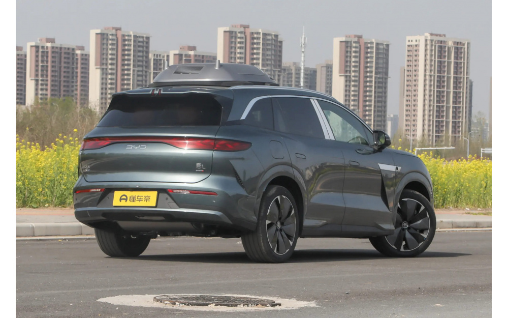 Tang L DM - 7