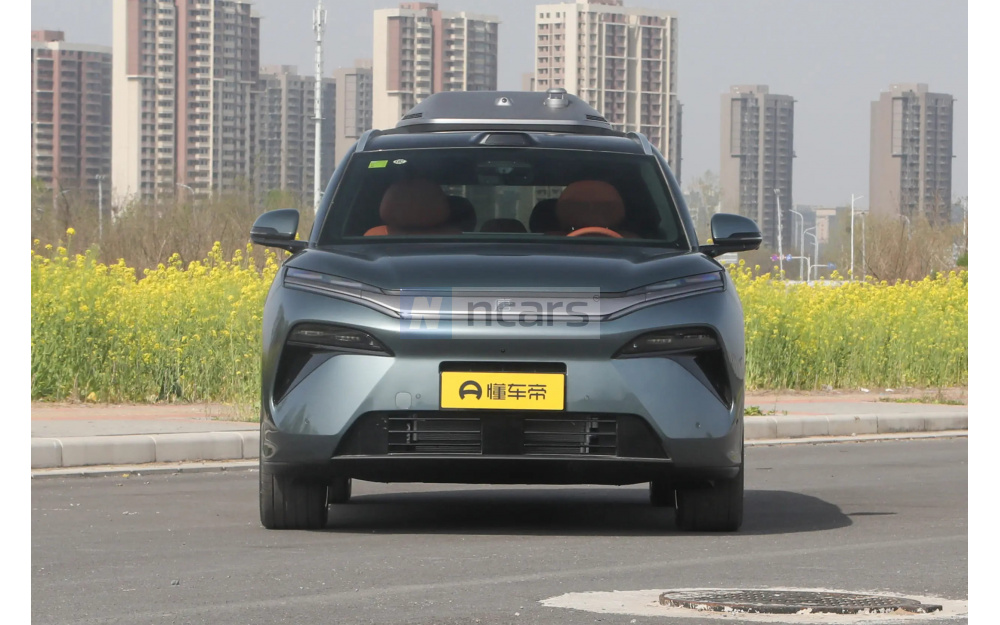 Tang L DM - 2