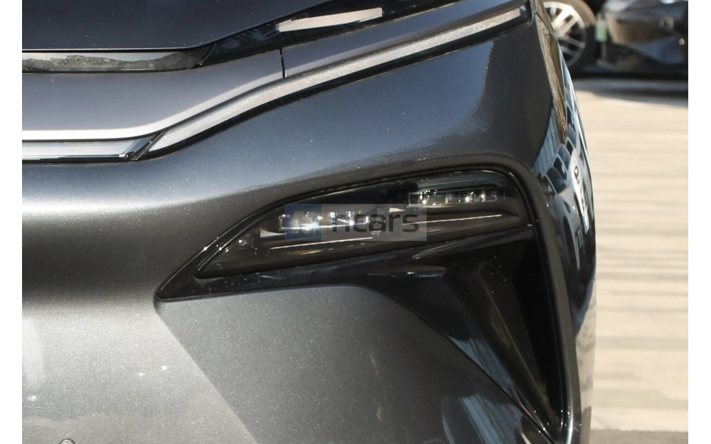 Tang L DM - 10