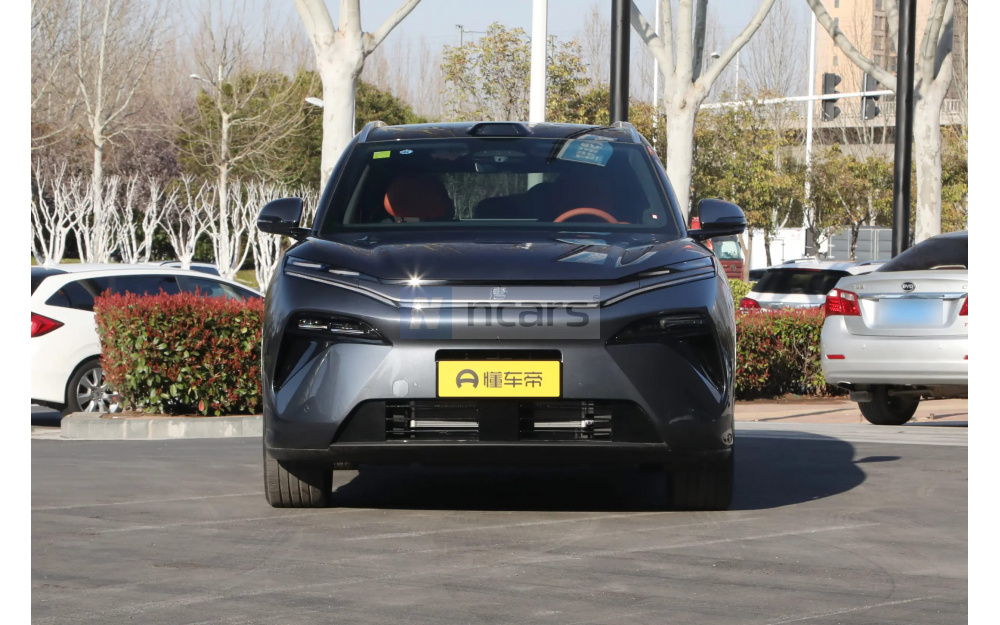 Tang L DM - 2