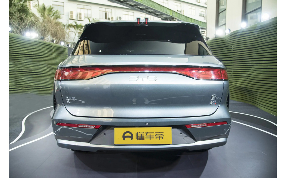 Tang L - 6