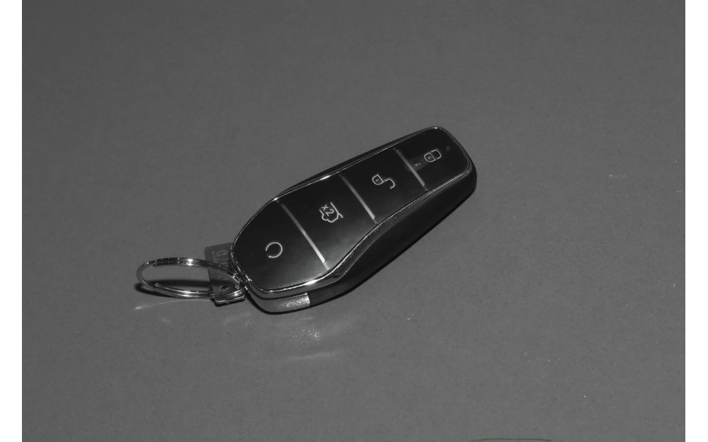 Tang L - 14