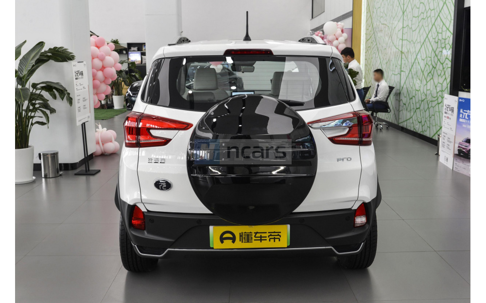Yuan Pro - 6
