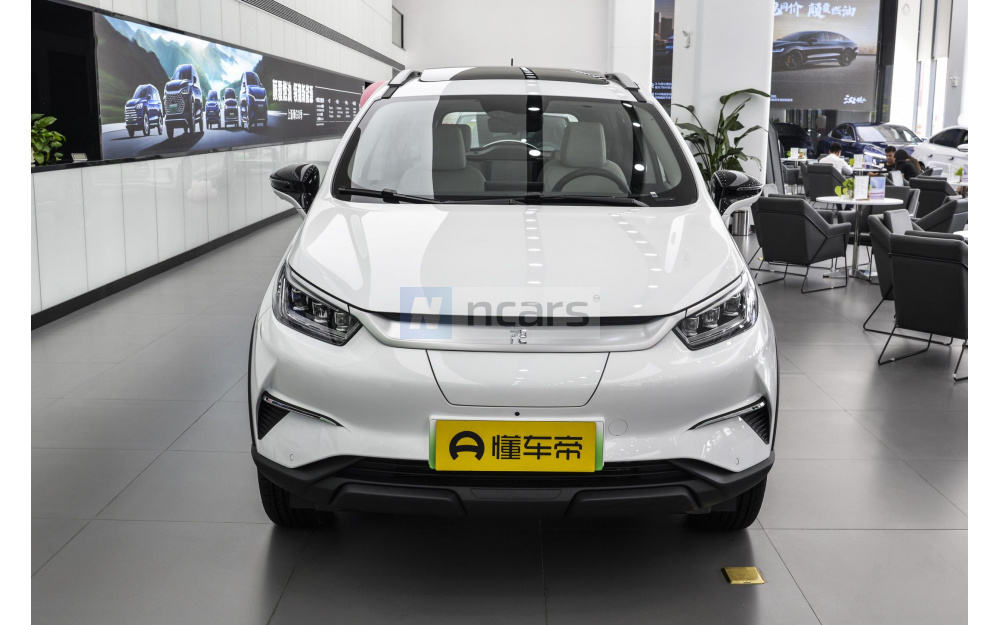 Yuan Pro - 2