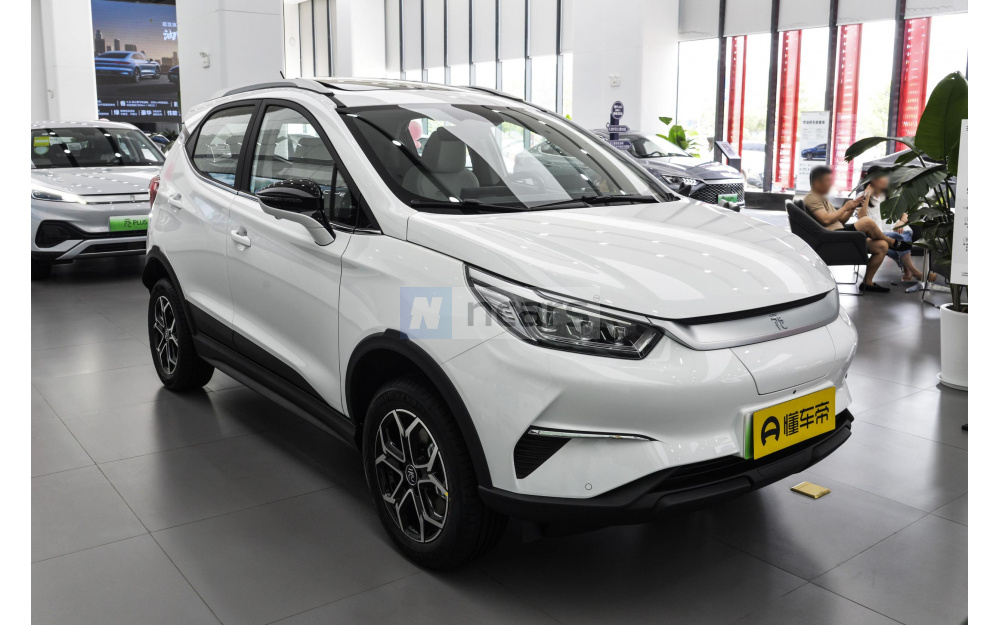 Yuan Pro - 3