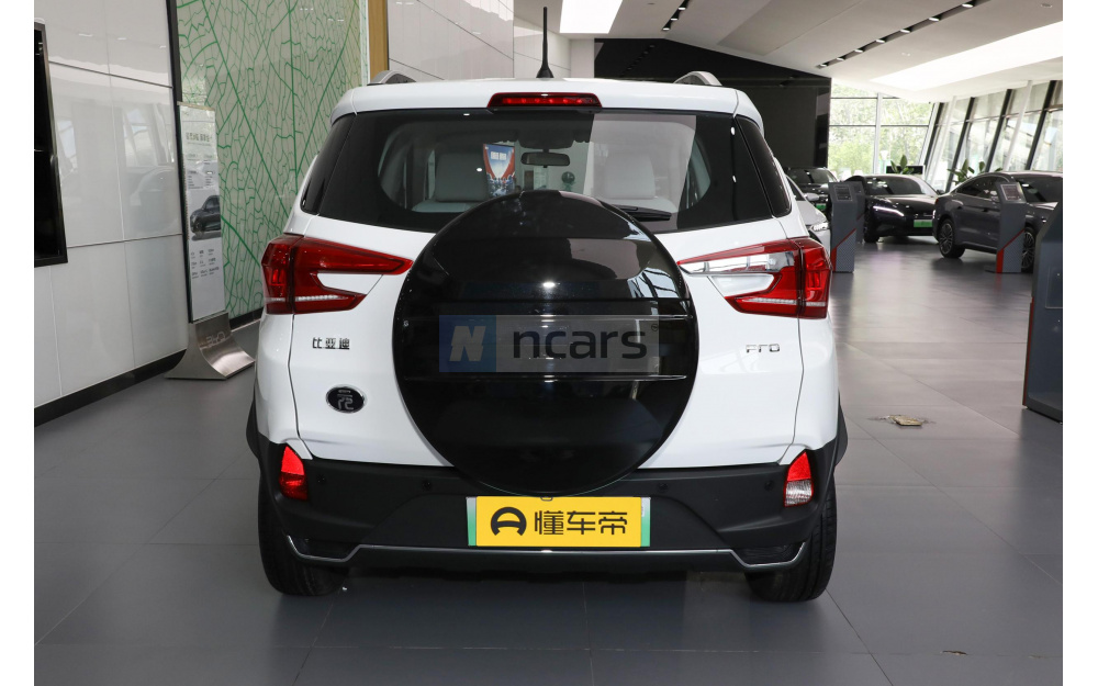 Yuan Pro - 6