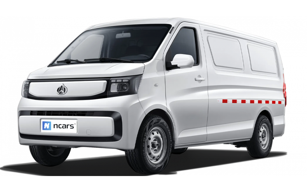 Cargo Hatchback 300KM