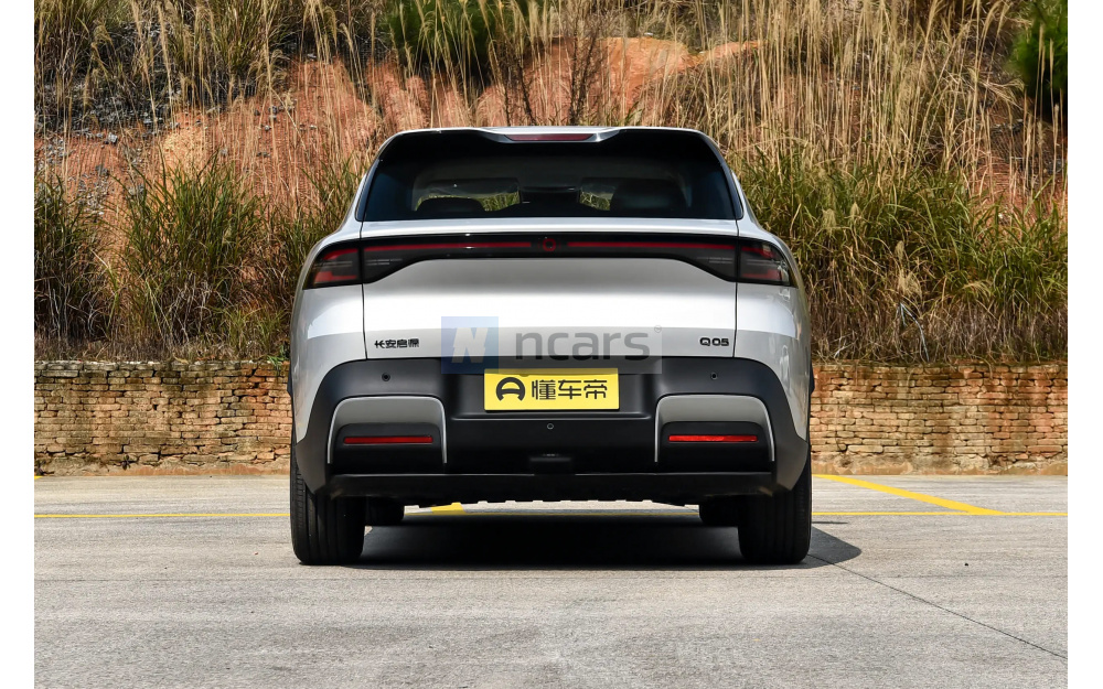 Qiyuan Q05 - 6