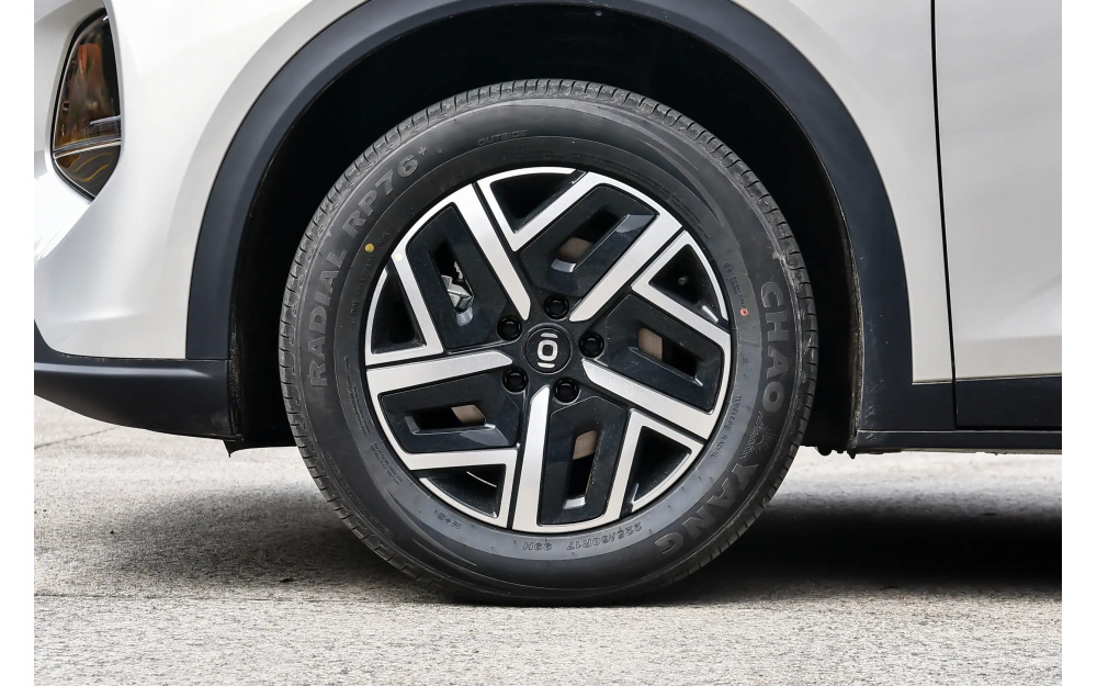 Qiyuan Q05 - 9