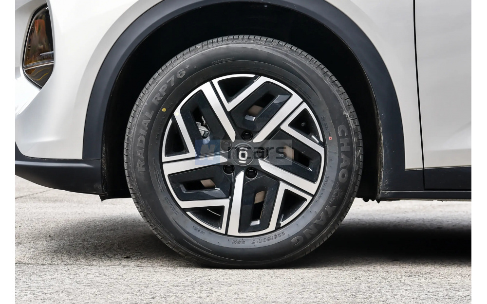 Qiyuan Q05 - 9