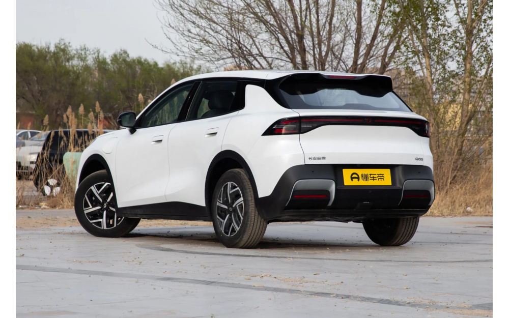 Qiyuan Q05 - 5