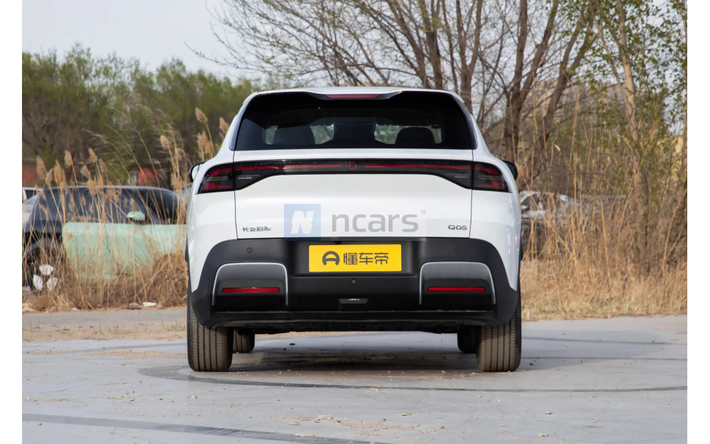 Qiyuan Q05 - 6