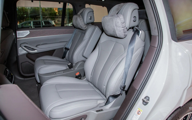 Denza N9 DM фото задній диван