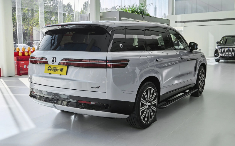 Denza N9 DM фото збоку