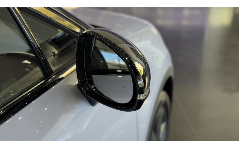 Firefly - 9 Firefly - 9