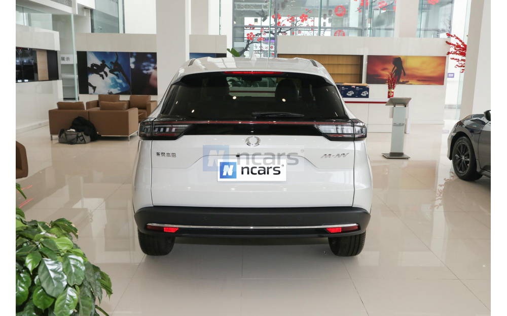 M-NV - 6