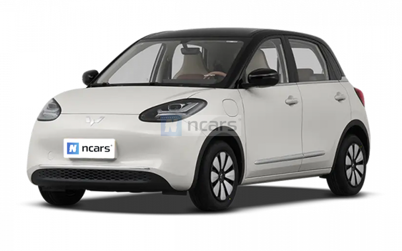 Wuling Bingo