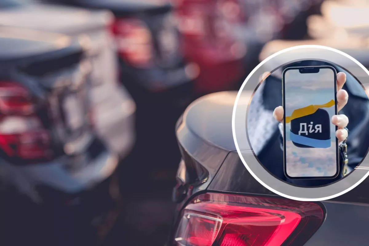 Крига скресла: законопроєкт про розмитнення в Дії схвалили в першому читанні