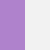 Purple/Gray